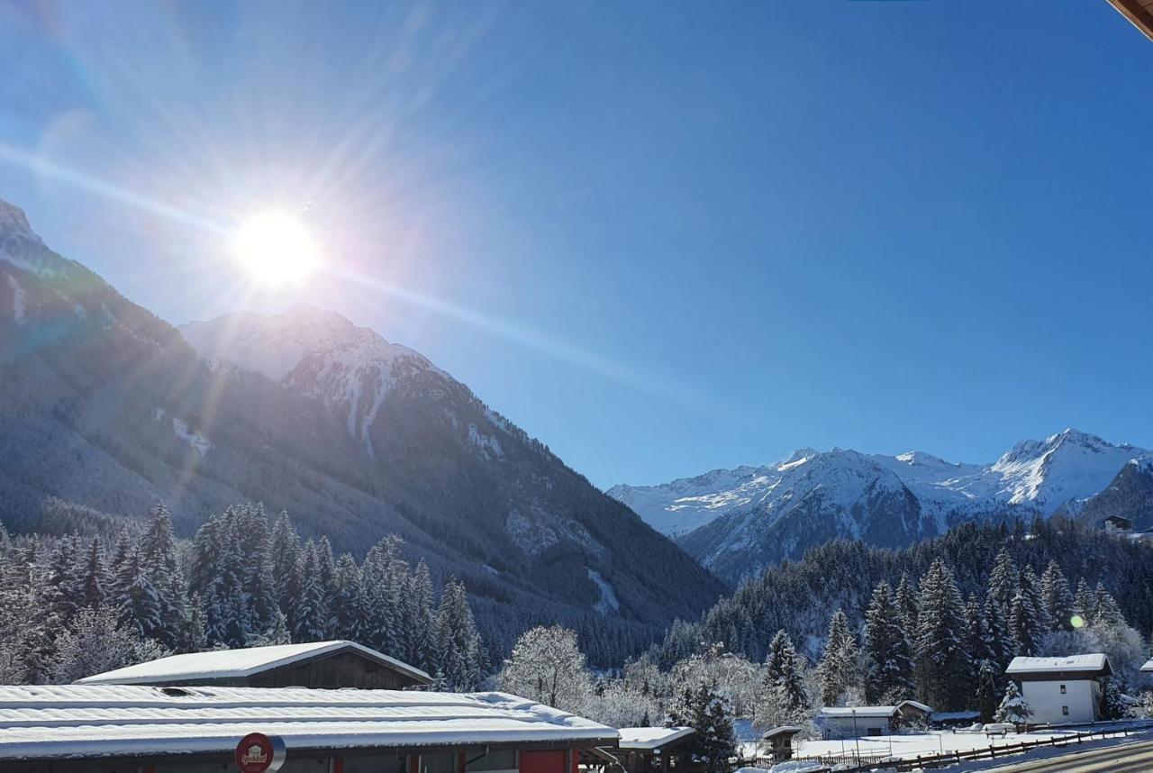 Apartment Waldherz Wald im Pinzgau