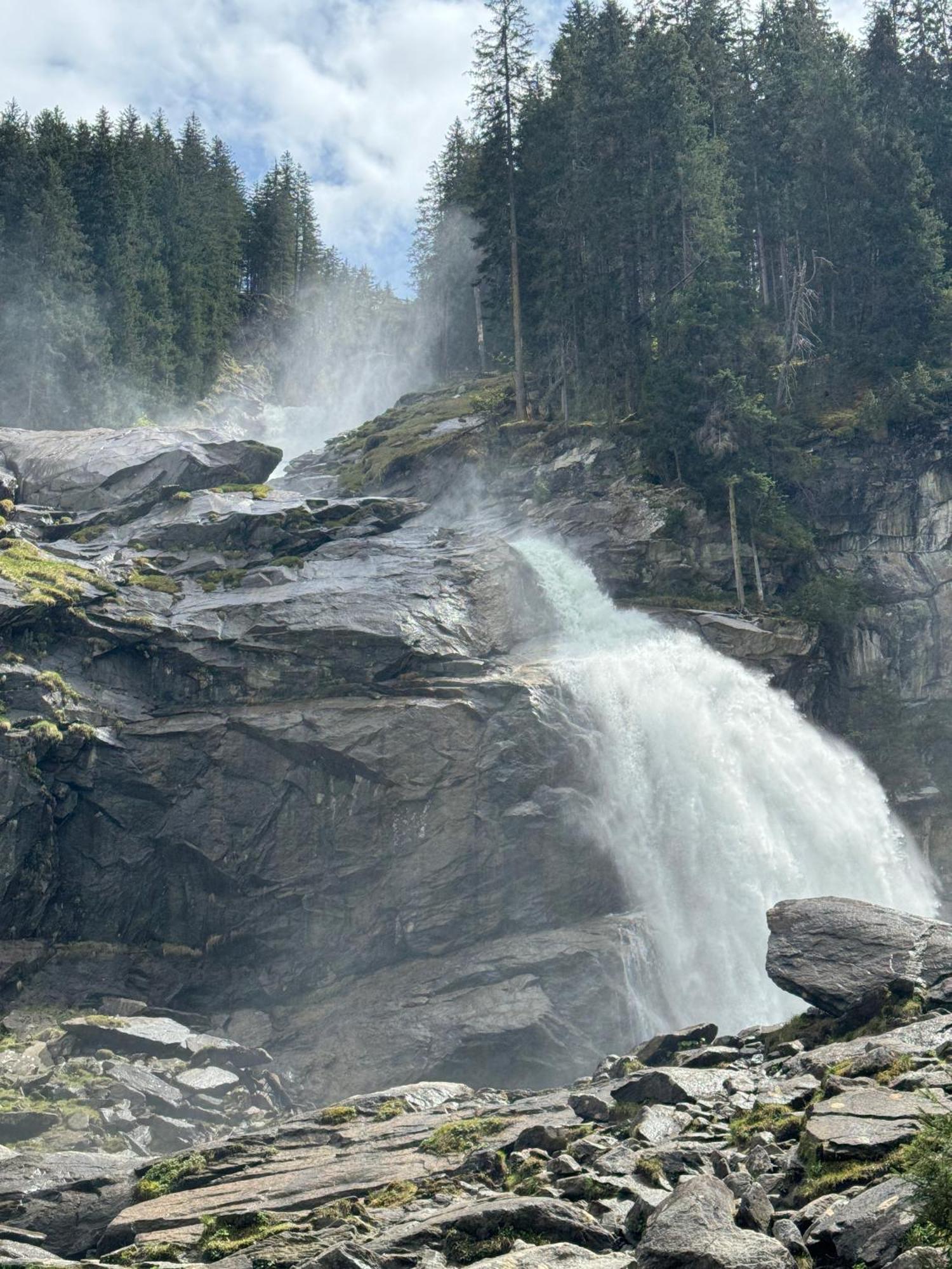 Waldherz * Wald im Pinzgau